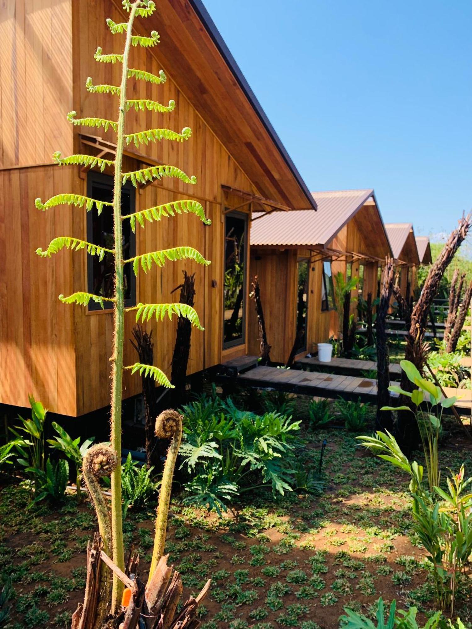 Cai Gui Ta Dung Hotel Bidong Exterior foto
